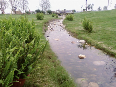 清澈小河